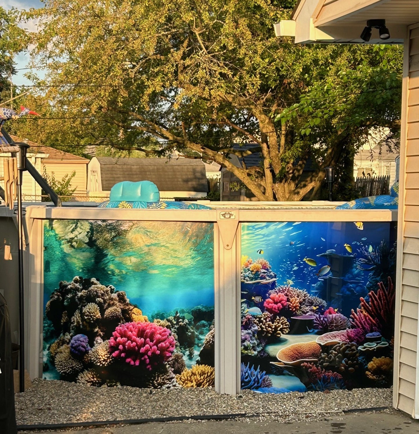 Coral Reef 3