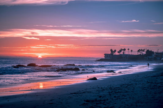 Purple Palms