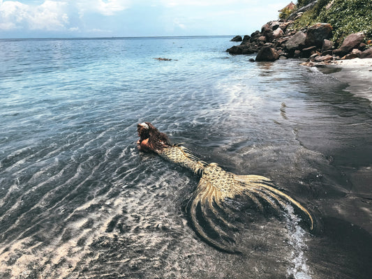 Mermaid on the Beach