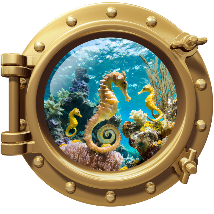 Seahorse Portal