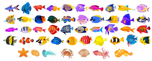 Tropical Fish Magnet Set