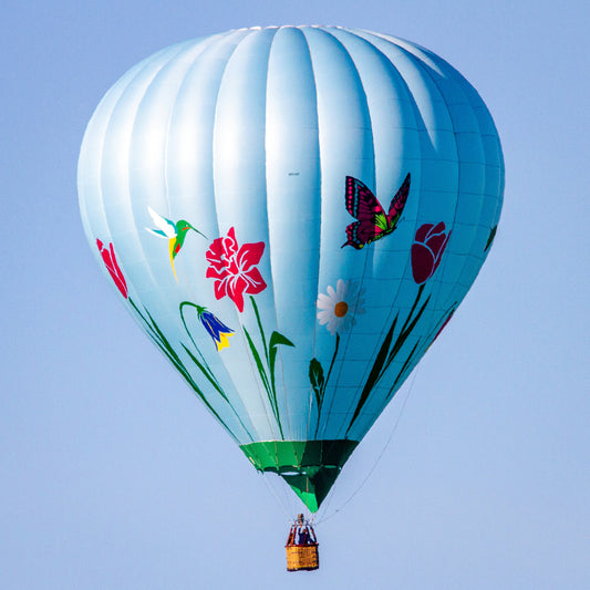 Flower and Butterfly Hot Air Balloon